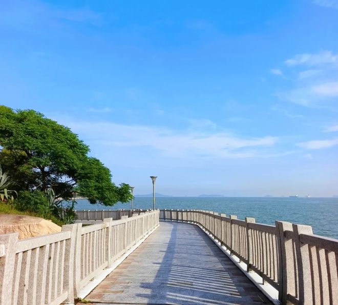 2026厦门综合实力最强旅行社TOP10|资质+规模+服务嗨